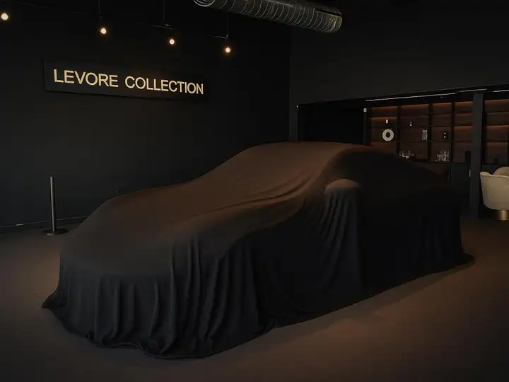 Porsche Carrera 2023