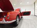 Alfa Romeo Giulia SPIDER 1600 TIPO 101.23 - ASI TARGA ORO  (1963) Rot - thumbnail 12
