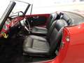 Alfa Romeo Giulia SPIDER 1600 TIPO 101.23 - ASI TARGA ORO  (1963) Rot - thumbnail 6