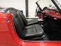 Alfa Romeo Giulia SPIDER 1600 TIPO 101.23 - ASI TARGA ORO  (1963) Rot - thumbnail 9