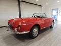 Alfa Romeo Giulia SPIDER 1600 TIPO 101.23 - ASI TARGA ORO  (1963) Rot - thumbnail 4
