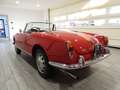 Alfa Romeo Giulia SPIDER 1600 TIPO 101.23 - ASI TARGA ORO  (1963) Rot - thumbnail 3