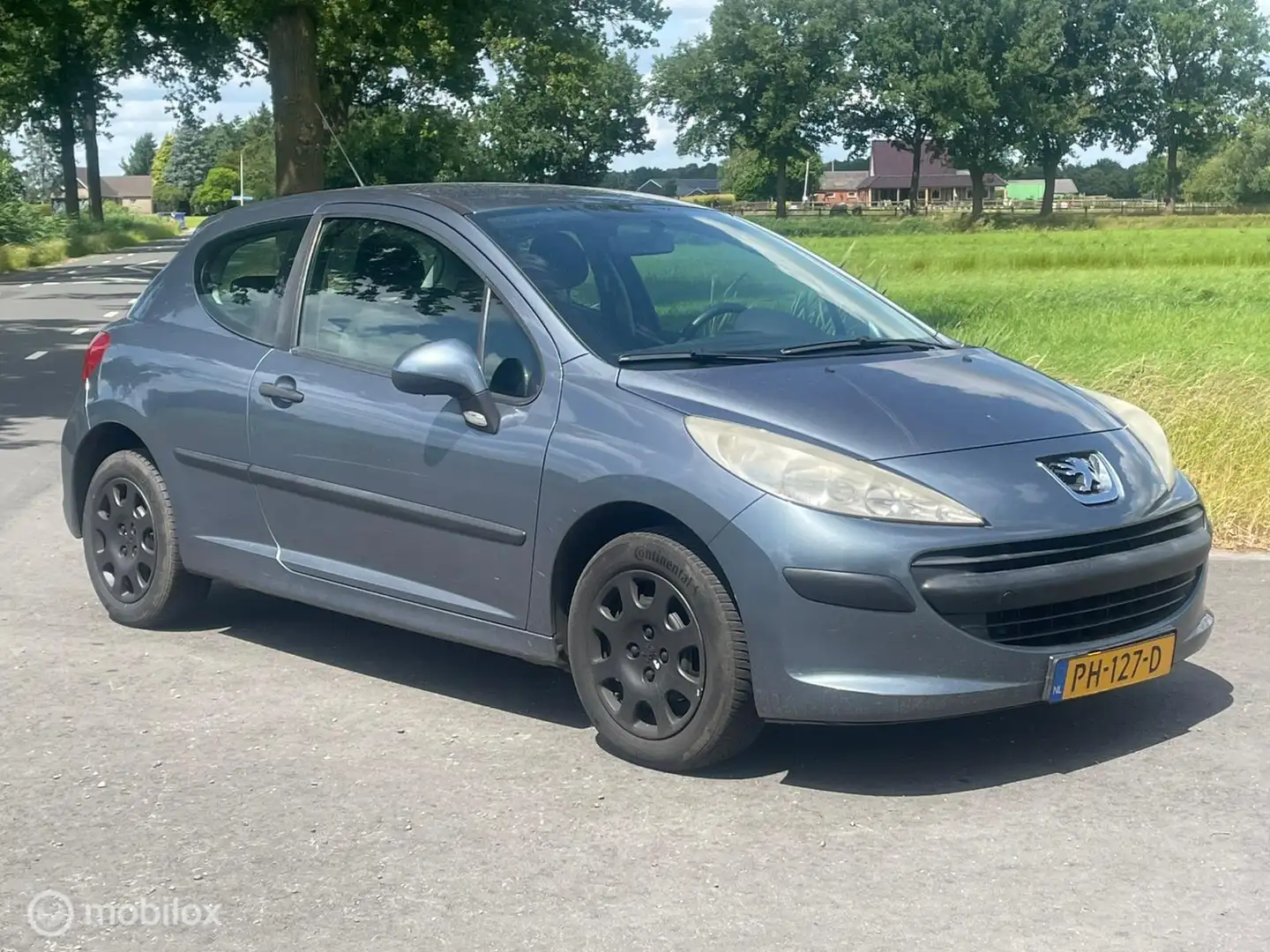 Peugeot 207 1.4 Color-line Grigio - 2