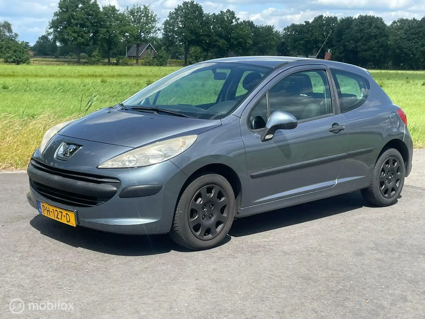 Peugeot 207 1.4 Color-line Grigio - 1