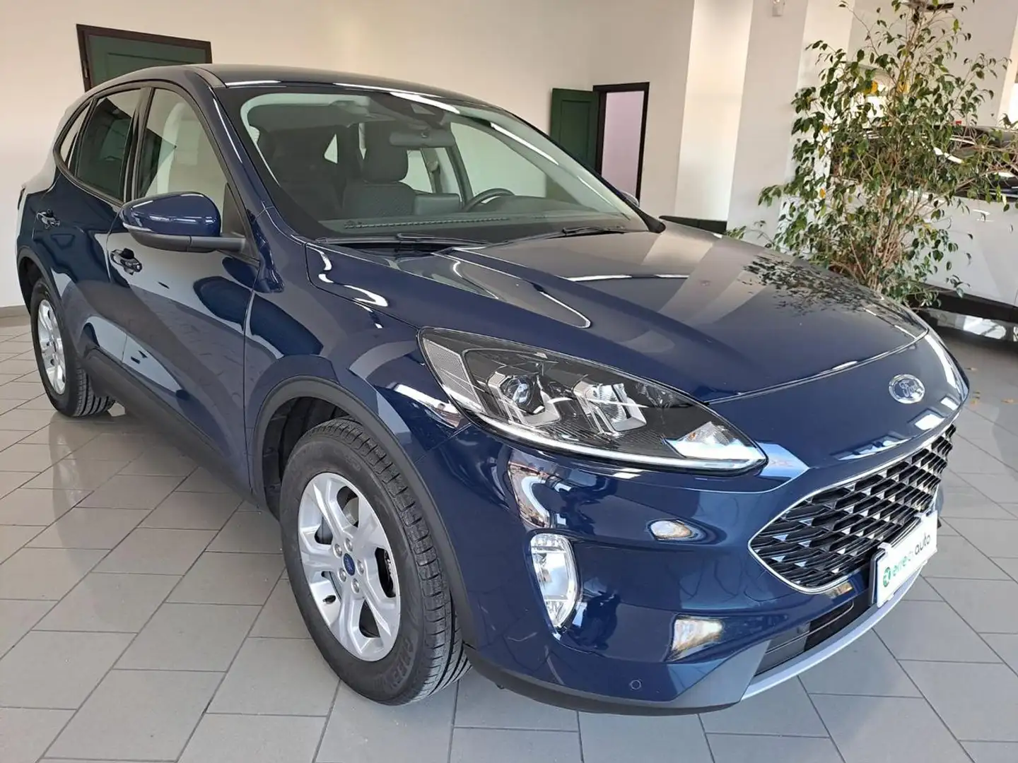 Ford Kuga 1.5 EcoBlue 120 CV 2WD Connect Blue - 1