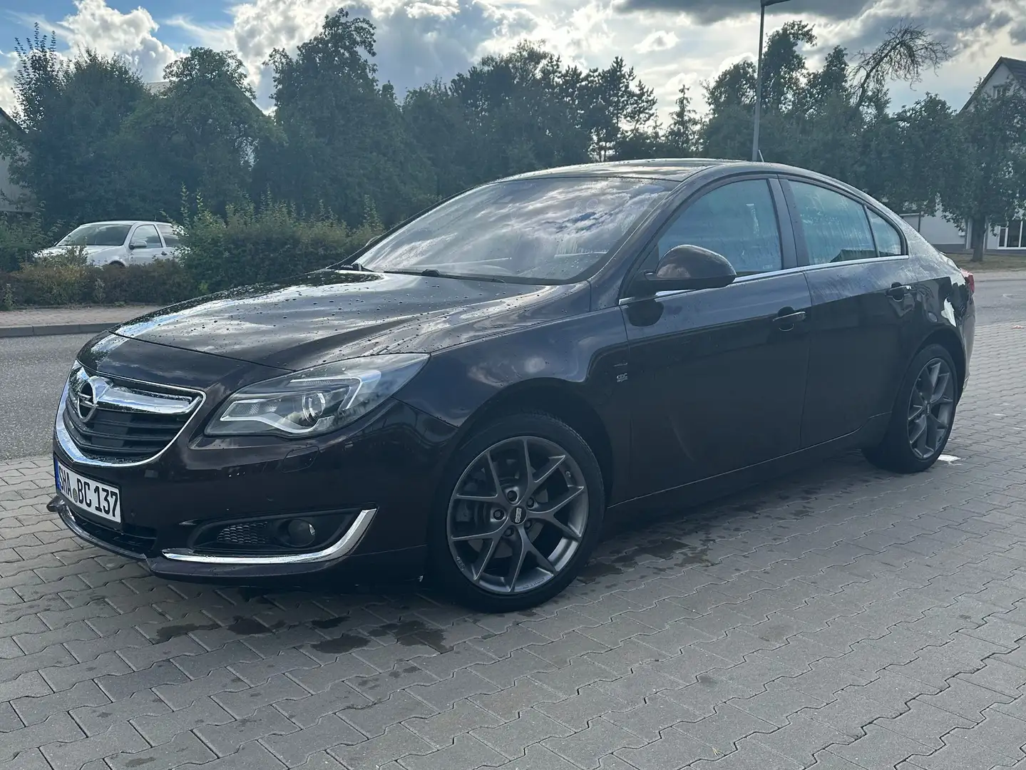 Opel Insignia Insignia 2.0 CDTI 4x4 ecoFLEX Start/Stop Business Hnědá - 1