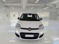Fiat Panda Panda III 2021 1.0 firefly hybrid Sport s Bianco - thumbnail 1