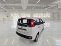 Fiat Panda Panda III 2021 1.0 firefly hybrid Sport s Bianco - thumbnail 3