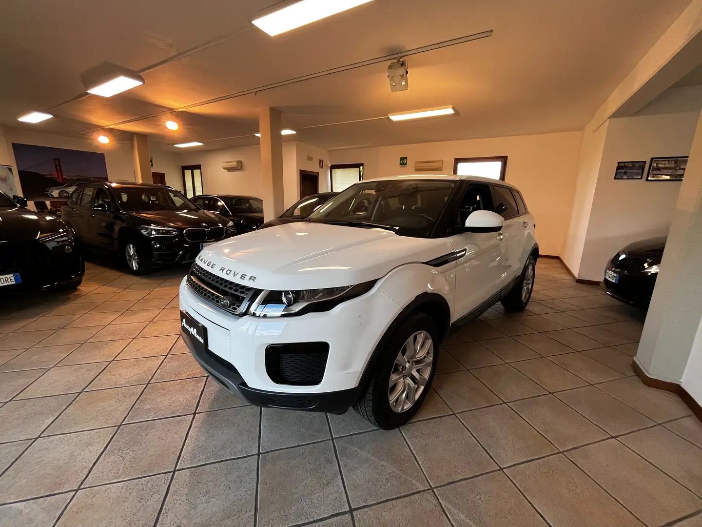Land Rover Range Rover Evoque 5p 2.0 150cv auto my19 Bianco - 1