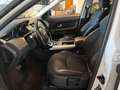 Land Rover Range Rover Evoque 5p 2.0 150cv auto my19 Bianco - thumbnail 7