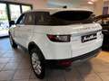 Land Rover Range Rover Evoque 5p 2.0 150cv auto my19 Bianco - thumbnail 2