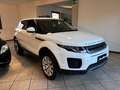 Land Rover Range Rover Evoque 5p 2.0 150cv auto my19 Bianco - thumbnail 5