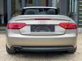 Audi A5 A5 Cabriolet 2.0 TDi Start/Stop DPF Bronze - thumbnail 6