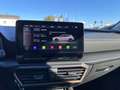 CUPRA Formentor 1,5 TSI ACT | AHK Weiß - thumbnail 25