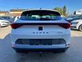CUPRA Formentor 1,5 TSI ACT | AHK Weiß - thumbnail 4