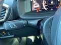CUPRA Formentor 1,5 TSI ACT | AHK Weiß - thumbnail 44