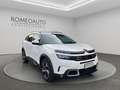 Citroen C5 Aircross BlueHDi 180cv S&S EAT8 Shine Bianco - thumbnail 8