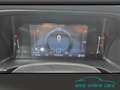 Ford Ranger Wildtrak DoKa ACC*LED*el. Rollo*Kamera Orange - thumbnail 12
