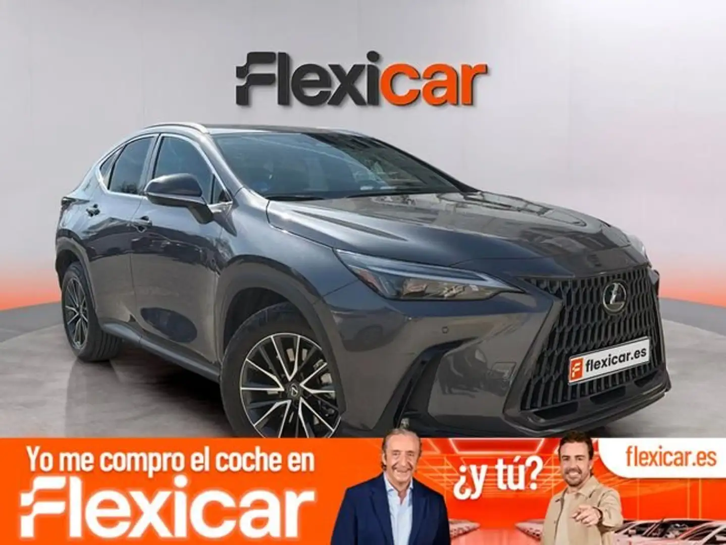 Lexus NX 450h+ Executive 4WD Gris - 1