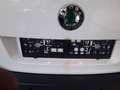 Skoda Yeti Weiß - thumbnail 15