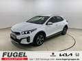 Kia XCeed 1.6 DCT PHEV Vision LED|RFK|SHZ|ACC Weiß - thumbnail 1