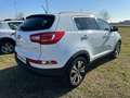 Kia Sportage Sportage 1.7 CRDI VGT 2WD Class GARANZIA 24 MESI Bianco - thumbnail 7
