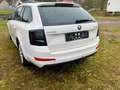 Skoda Octavia Elegance Weiß - thumbnail 5