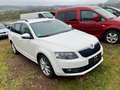 Skoda Octavia Elegance Weiß - thumbnail 9