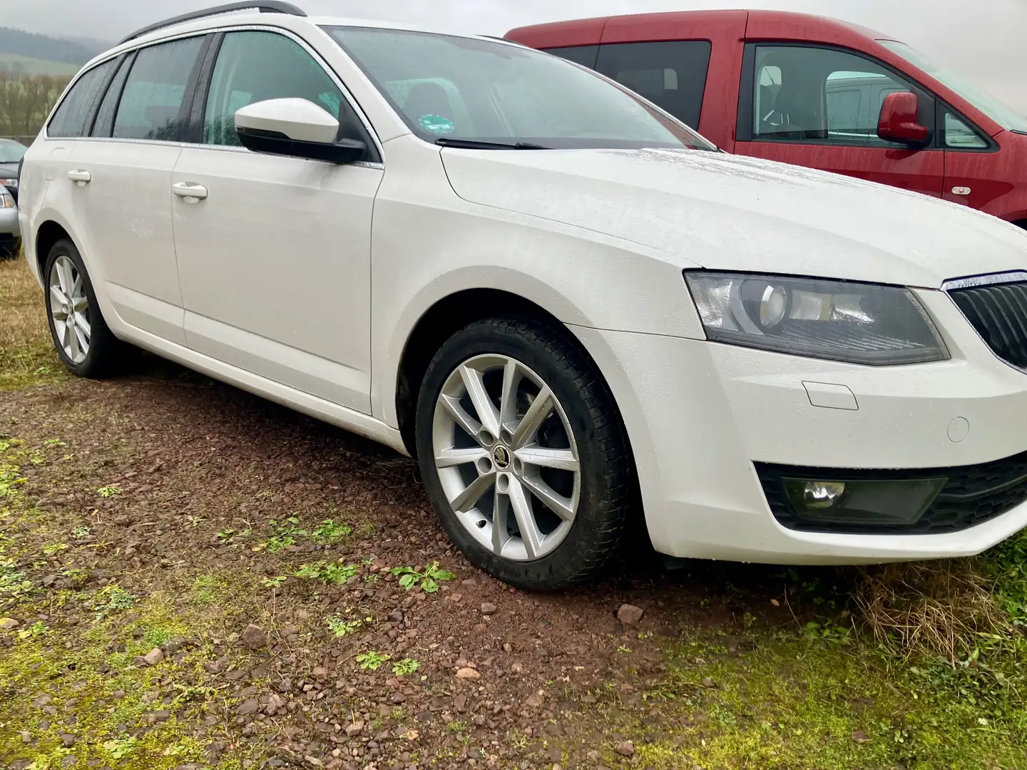 Skoda Octavia Elegance Weiß - 2