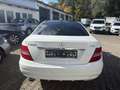 Mercedes-Benz C 220 CDI Aut.*Premium*Sport-Paket*Pano.*Leder*PDC* Weiß - thumbnail 5