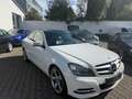 Mercedes-Benz C 220 CDI Aut.*Premium*Sport-Paket*Pano.*Leder*PDC* Weiß - thumbnail 3