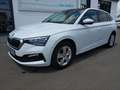 Skoda Scala 1,5 TSI Style Panorama LED App Sitzheizung Weiß - thumbnail 2