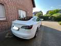 Tesla Model 3 Model+3+RWD+Hinterradantrieb AHK Weiß - thumbnail 5