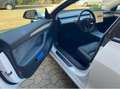 Tesla Model 3 Model+3+RWD+Hinterradantrieb AHK Weiß - thumbnail 6