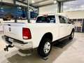 Dodge RAM 2500 Blanc - thumbnail 7