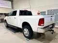 Dodge RAM 2500 Blanc - thumbnail 5