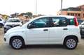 Fiat Panda 1.2 Pop 69 Cv Weiß - thumbnail 5