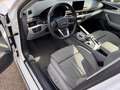 Audi A4 allroad 2.0 TDI 190 CV Stronic Uniprop. ufficiale Blanc - thumbnail 8