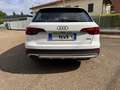 Audi A4 allroad 2.0 TDI 190 CV Stronic Uniprop. ufficiale Blanc - thumbnail 6