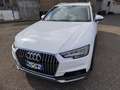 Audi A4 allroad 2.0 TDI 190 CV Stronic Uniprop. ufficiale Blanc - thumbnail 3