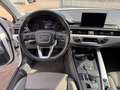Audi A4 allroad 2.0 TDI 190 CV Stronic Uniprop. ufficiale Blanc - thumbnail 12