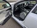 Audi A4 allroad 2.0 TDI 190 CV Stronic Uniprop. ufficiale Blanc - thumbnail 7