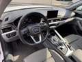 Audi A4 allroad 2.0 TDI 190 CV Stronic Uniprop. ufficiale Blanc - thumbnail 9