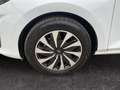Ford Fiesta VII 2022 5p - Fiesta 5p 1.0 ecoboost h Titanium 12 Weiß - thumbnail 16