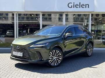 450h+ AWD Executive Line | Panoramadak, 21 inch, 3