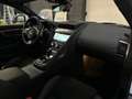 Jaguar F-Type P-300 / R-Dynamic Paket Blanc - thumbnail 13