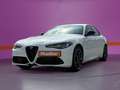 Alfa Romeo Giulia 2.0 16V AT8-Q4 Veloce *ACC *Premium Paket Alb - thumbnail 1