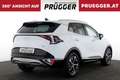 Kia Sportage 1.6 TGDI 48V AUTOM GOLD NUR 15.368KM Weiß - thumbnail 5