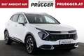 Kia Sportage 1.6 TGDI 48V AUTOM GOLD NUR 15.368KM Weiß - thumbnail 4
