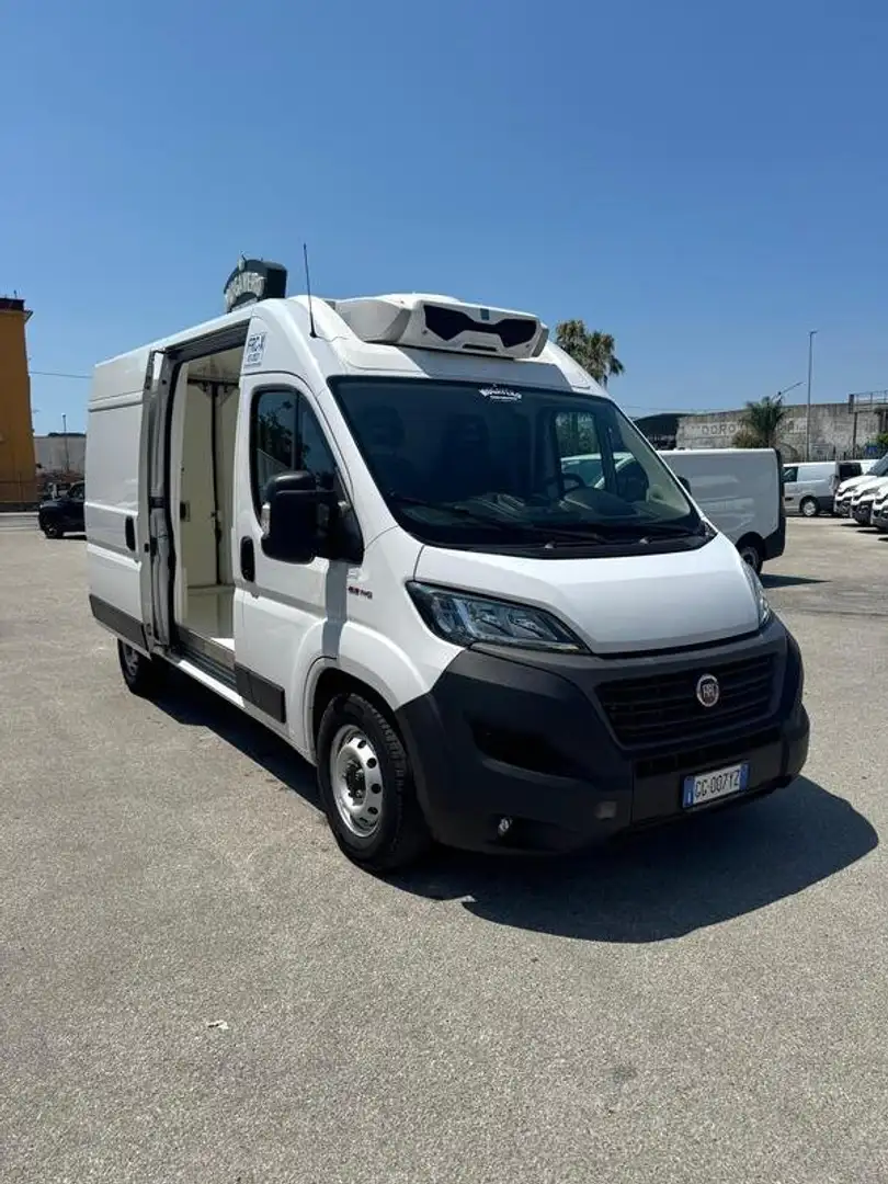 Fiat Ducato MAXI 2.3mjt 140cv L2H2 FRIGO FRC -20 GRADI Bianco - 1